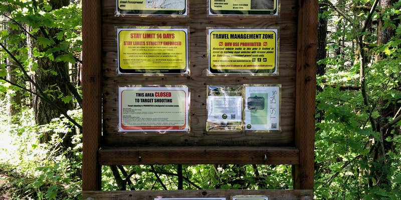 Camper submitted image from Gales Creek Campground