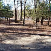 Review photo of Hopeville Pond State Park Campground by Jean C., April 1, 2021