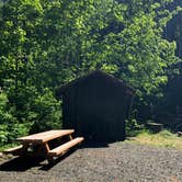 Review photo of Gales Creek Campground by Corinna B., May 25, 2017