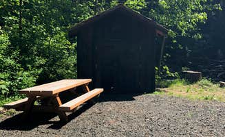 Corinna B.'s photo of glamping accommodations at Gales Creek Campground near Neskowin, OR