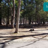 Review photo of Hopeville Pond State Park Campground by Jean C., April 1, 2021