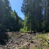 Review photo of Gales Creek Campground by Corinna B., May 25, 2017