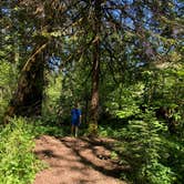 Review photo of Gales Creek Campground by Corinna B., May 25, 2017