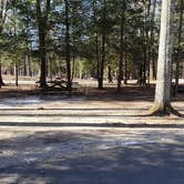 Review photo of Hopeville Pond State Park Campground by Jean C., April 1, 2021