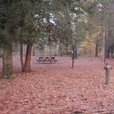 Review photo of Hopeville Pond State Park Campground by Jean C., April 1, 2021