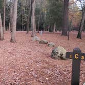 Review photo of Hopeville Pond State Park Campground by Jean C., April 1, 2021