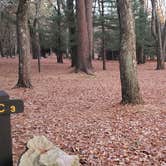 Review photo of Hopeville Pond State Park Campground by Jean C., April 1, 2021