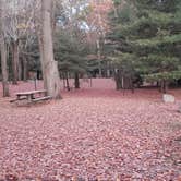 Review photo of Hopeville Pond State Park Campground by Jean C., April 1, 2021