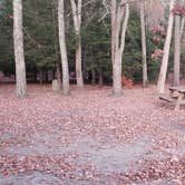 Review photo of Hopeville Pond State Park Campground by Jean C., April 1, 2021