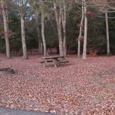 Review photo of Hopeville Pond State Park Campground by Jean C., April 1, 2021