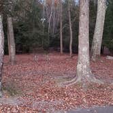 Review photo of Hopeville Pond State Park Campground by Jean C., April 1, 2021