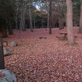 Review photo of Hopeville Pond State Park Campground by Jean C., April 1, 2021