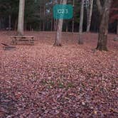 Review photo of Hopeville Pond State Park Campground by Jean C., April 1, 2021