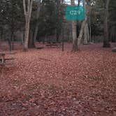 Review photo of Hopeville Pond State Park Campground by Jean C., April 1, 2021