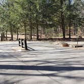 Review photo of Hopeville Pond State Park Campground by Jean C., April 1, 2021