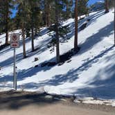 Review photo of Toiyabe National Forest McWilliams Campground by Brittney  C., April 1, 2021