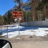 Review photo of Toiyabe National Forest McWilliams Campground by Brittney  C., April 1, 2021