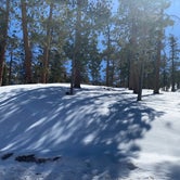 Review photo of Toiyabe National Forest McWilliams Campground by Brittney  C., April 1, 2021