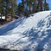 Review photo of Toiyabe National Forest McWilliams Campground by Brittney  C., April 1, 2021