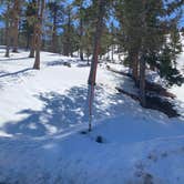 Review photo of Toiyabe National Forest McWilliams Campground by Brittney  C., April 1, 2021