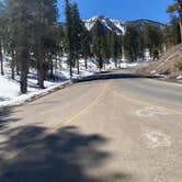 Review photo of Toiyabe National Forest McWilliams Campground by Brittney  C., April 1, 2021