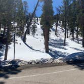 Review photo of Toiyabe National Forest McWilliams Campground by Brittney  C., April 1, 2021