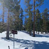 Review photo of Toiyabe National Forest McWilliams Campground by Brittney  C., April 1, 2021