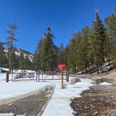 Review photo of Toiyabe National Forest McWilliams Campground by Brittney  C., April 1, 2021