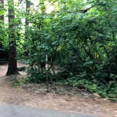 Review photo of Milo McIver State Park Campground by Corinna B., October 1, 2018