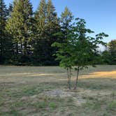 Review photo of Milo McIver State Park Campground by Corinna B., October 1, 2018