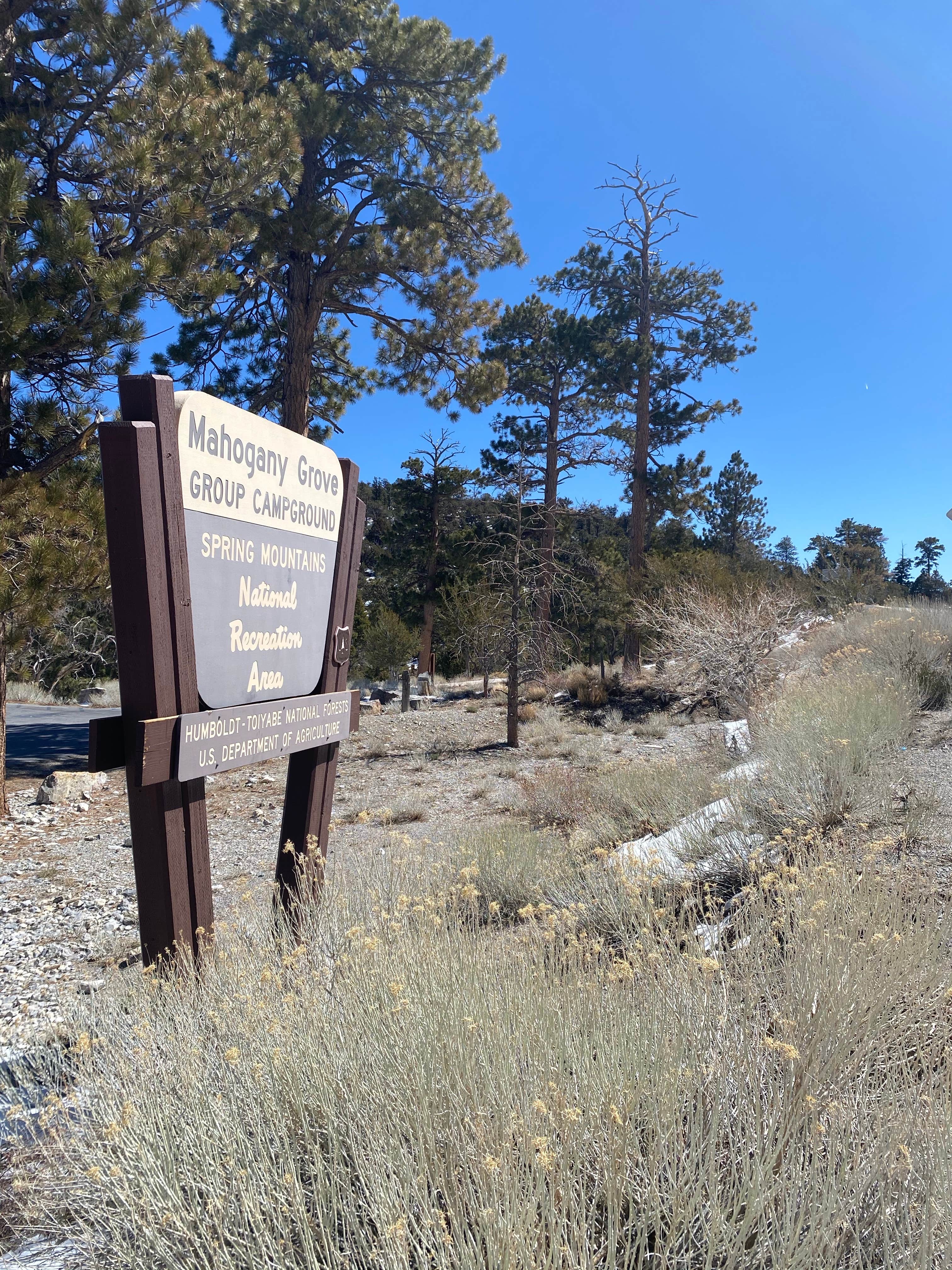 Signs & Maps