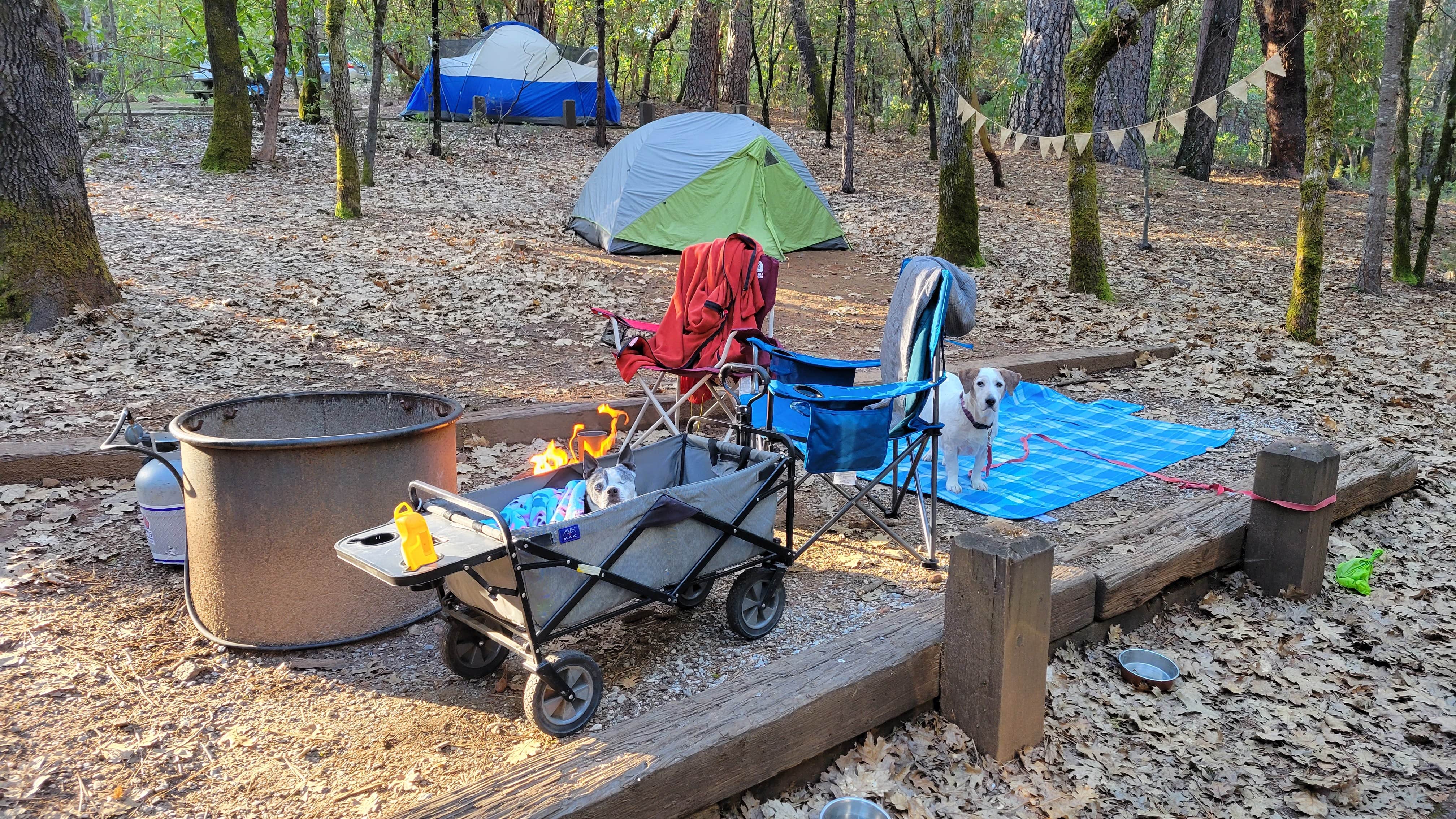 Julie D.'s photo at Indian Grinding Rock State Historical Park Campground near Ione, CA