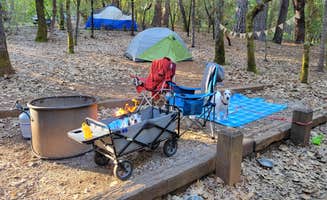 Julie D.'s photo at Indian Grinding Rock State Historical Park Campground near Jackson, CA
