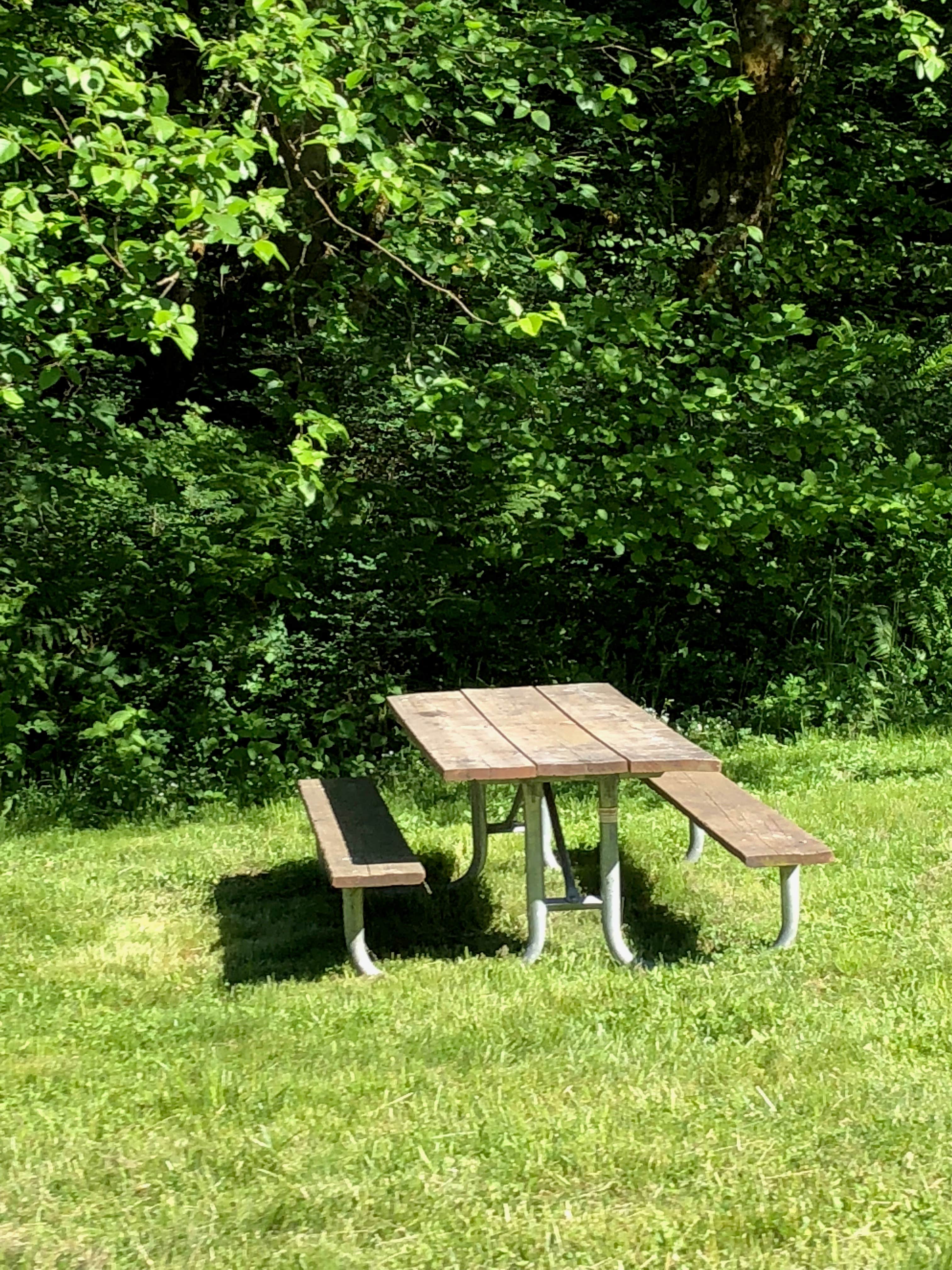 Camper-submitted photo at Beacon Rock State Park Group Campground — Beacon Rock State Park near North Bonneville, WA
