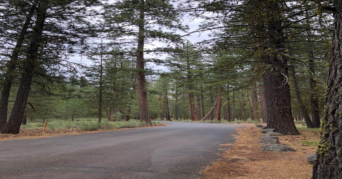 Collier Memorial State Park Campground