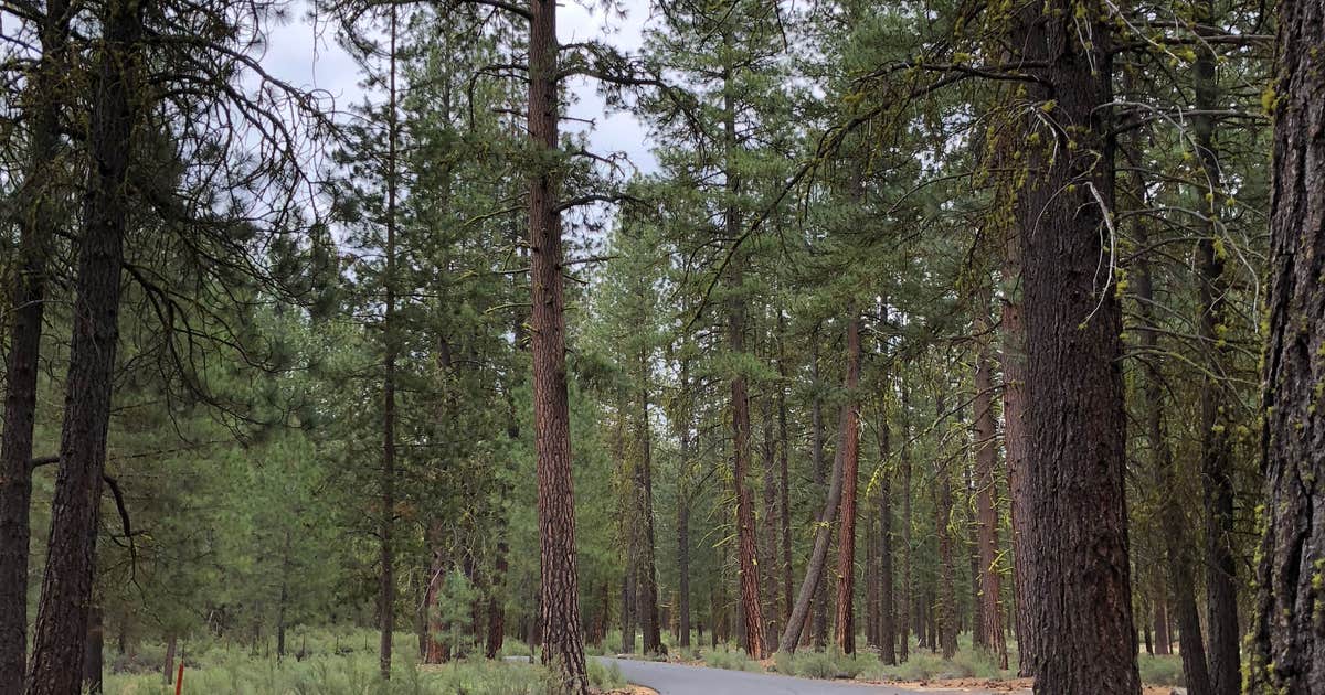 Collier Memorial State Park Campground