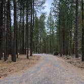 Review photo of Collier Memorial State Park Campground by Corinna B., July 19, 2018