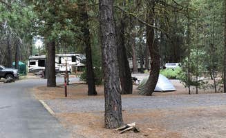 Corinna B.'s photo at Collier Memorial State Park Campground near Fremont-Winema National Forest