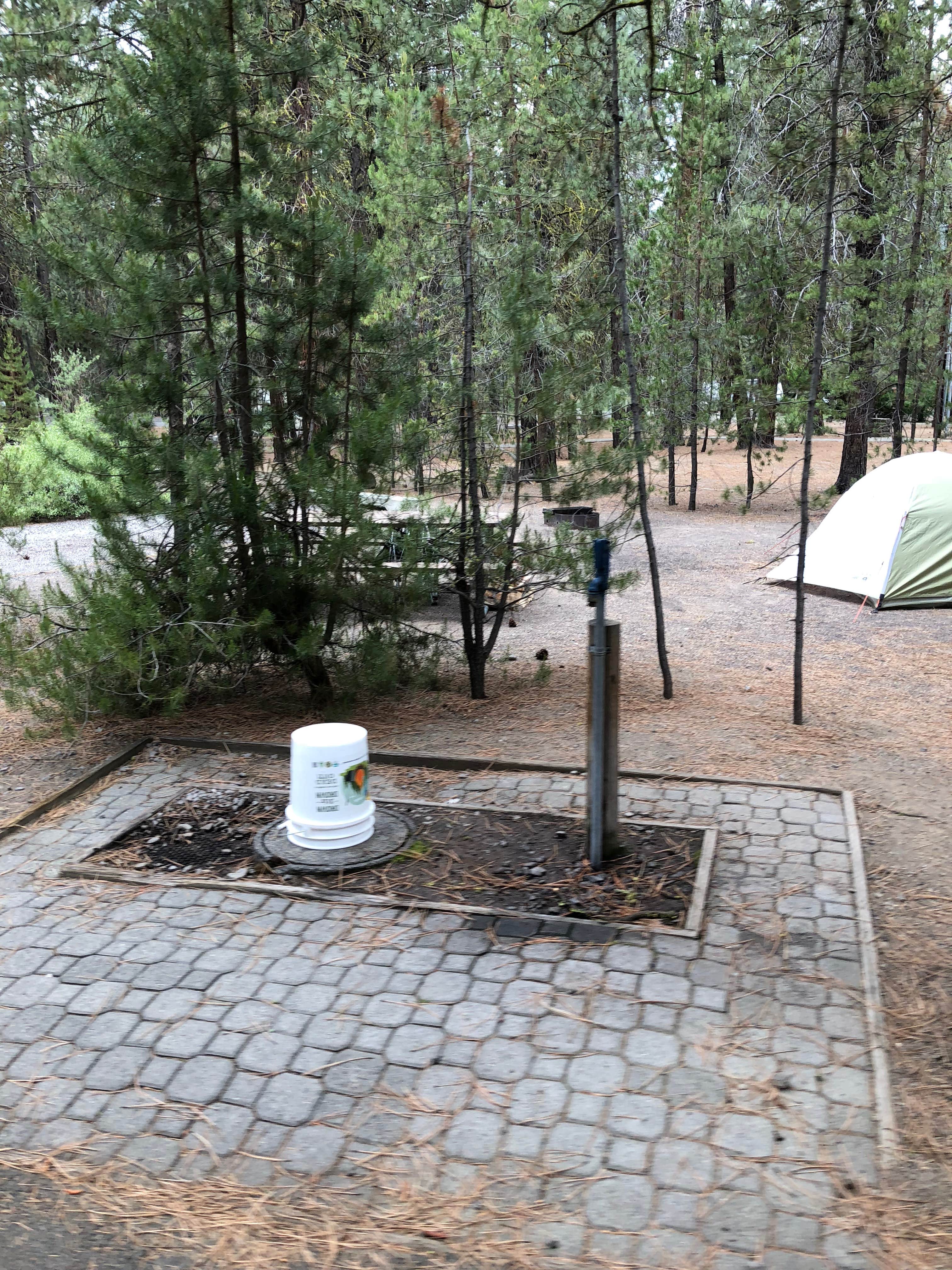 Corinna B.'s photo at Collier Memorial State Park Campground near Klamath Falls, OR