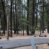 Review photo of Collier Memorial State Park Campground by Corinna B., July 19, 2018