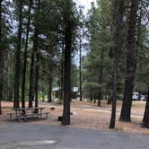 Review photo of Collier Memorial State Park Campground by Corinna B., July 19, 2018