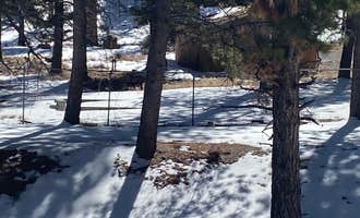 Camping near Foxtail Grp Picnic Area: Toiyabe National Forest McWilliams Campground, Mount Charleston, Nevada