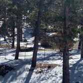 Review photo of Toiyabe National Forest McWilliams Campground by Brittney  C., April 1, 2021