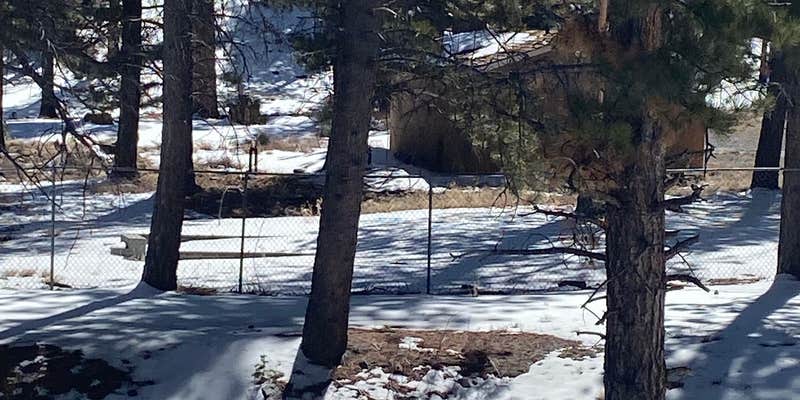 Camper submitted image from Toiyabe National Forest McWilliams Campground