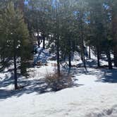 Review photo of Toiyabe National Forest McWilliams Campground by Brittney  C., April 1, 2021