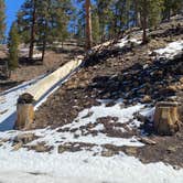 Review photo of Toiyabe National Forest McWilliams Campground by Brittney  C., April 1, 2021