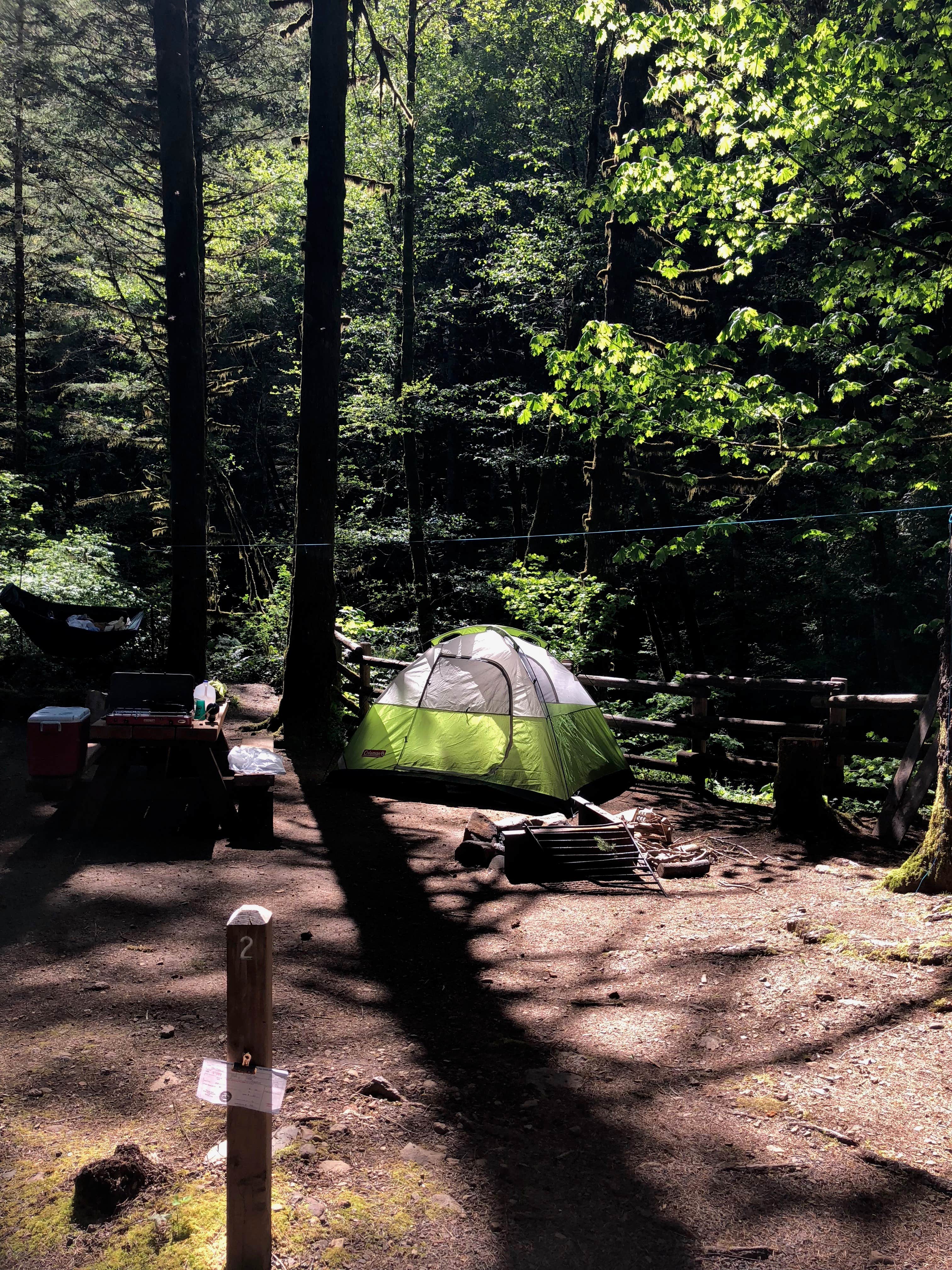 Corinna B.'s photo of tent camping at Elk Creek Campground near Canby, OR