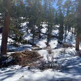 Review photo of Toiyabe National Forest McWilliams Campground by Brittney  C., April 1, 2021