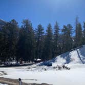 Review photo of Toiyabe National Forest McWilliams Campground by Brittney  C., April 1, 2021