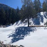 Review photo of Toiyabe National Forest McWilliams Campground by Brittney  C., April 1, 2021